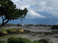 Location Brehat mar�e basse